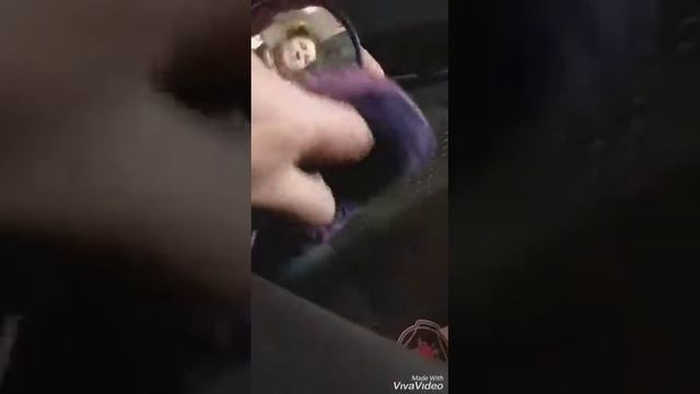 SCANIA лёгкий обзор, мойка, уборка салона 🤗 смотреть онлайн