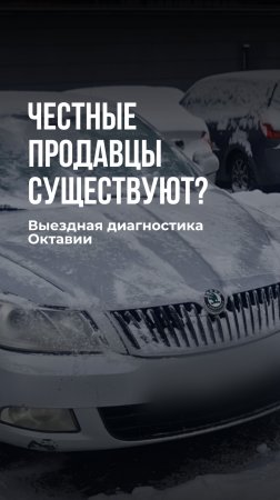 Честные продавцы существуют? / Что не так с этой Октавией?