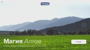 КИПРИНО_презентация_концепции_сайта_ZG.Agency