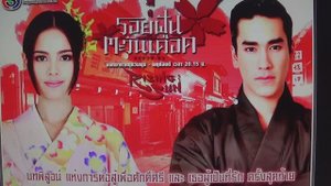 Восходящее солнце: Вслед за мечтой ПОДПИШИСЬ