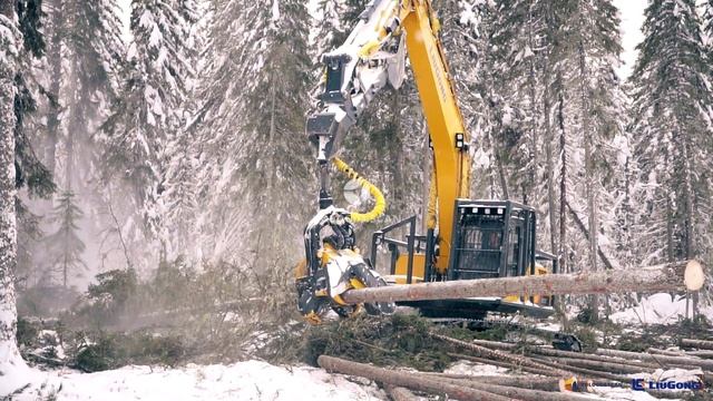 Видеообзор харвестера на базе экскаватора LiuGong CLG922E