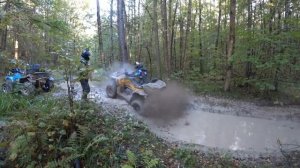 Два Стелсозавра и РМ