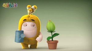 Мачо | Чуддики | Смешные мультики для детей Oddbods