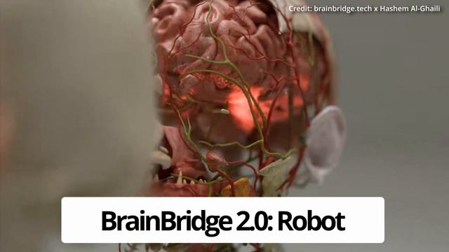 New Brain Transplant AI Robot With 6 Arms Shocks Everyone Using This New Tech смотреть онлайн
