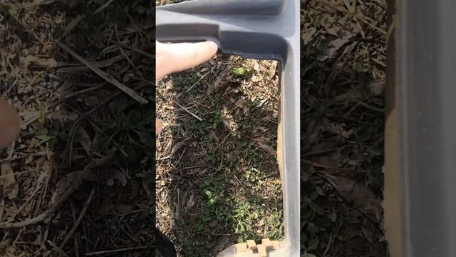 торпеда форд сиерра смотреть онлайн