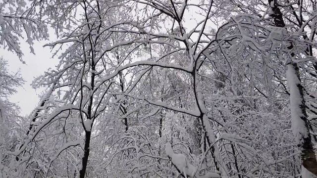 Зима прекрасна снегопадом - мир сказки, окружил нас разом! ТопСАд. смотреть онлайн