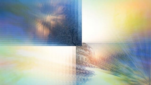 Снежный лес смотреть онлайн