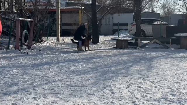 3.  выражено/перв JERRY LEE TEAM CARRERA (Quantum v. Schonen Rosen – Oly Team Carrera)