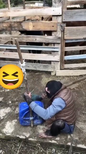 Дворник года 🏆 😆