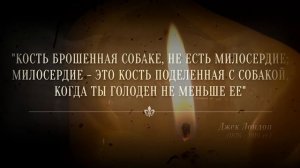 Цитаты Великих Людей - Логии, Слова Вдохновения и мудрые Цитаты, которые стоит послушать.