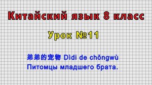 Китайский язык 8 класс (Урок№11 - 弟弟的宠物 Dìdi de chǒngwù Питомцы младшего брата.)