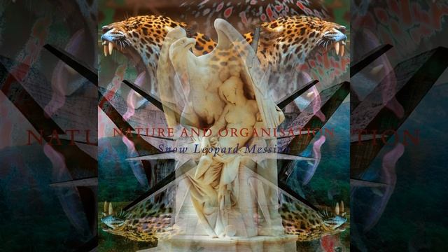 Death in a Snow Leopard Winter, Pt. 8 смотреть онлайн