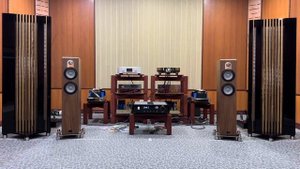 Alsyvox+Aavik i-880+Kalista/1