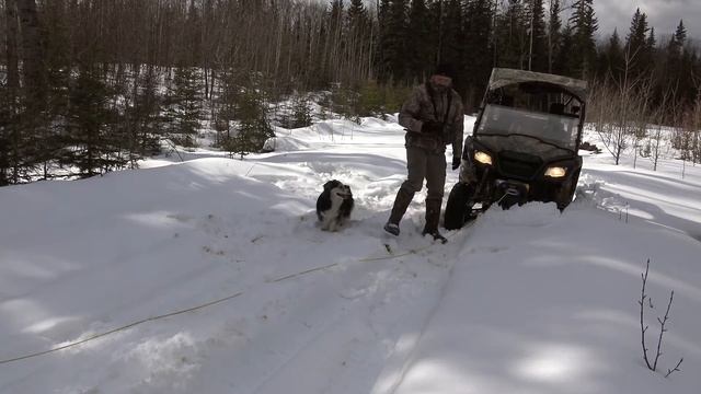 Honda Pioneer 500 - Superwinch Terra 3500 35SR