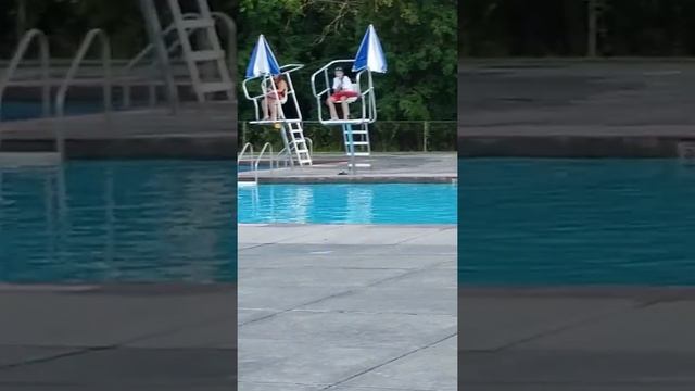 ПРИРОДА БЕЗ ПРИКРАС☆Этот удивительный мир#Ласточки#1 смотреть онлайн