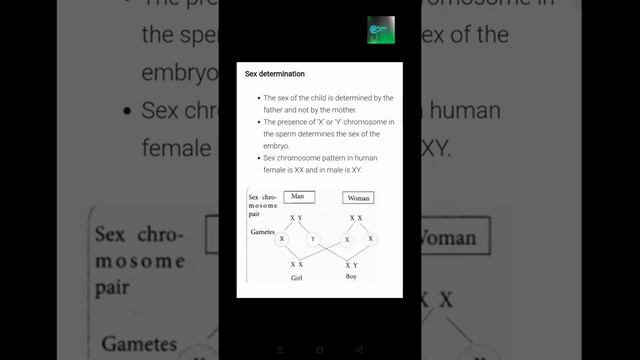 MENSTRUATION AND PREGNANCY PERIOD  PLUSTWO HUMAN REPRODUCTION PART 4(malayalam)