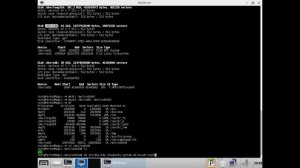 Запуск сервиса через systemd. Клонирование настроенной GNU/Linux средствами dd из LiveCD