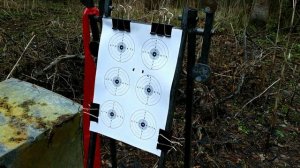 Отстрел Квинтор Домед 5.5 на 50 метров.