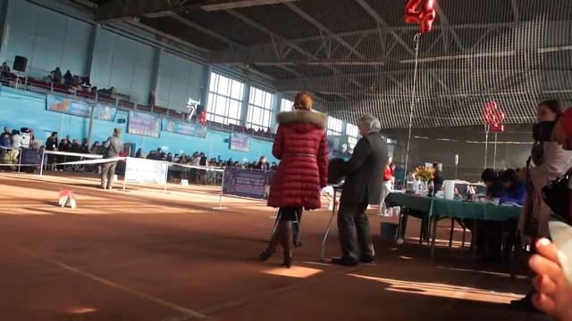 Сильвер 2 смотреть онлайн