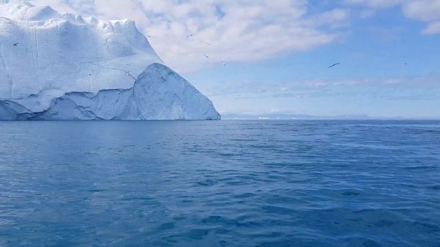 Whale watching in Ilulissat, Greenland. смотреть онлайн