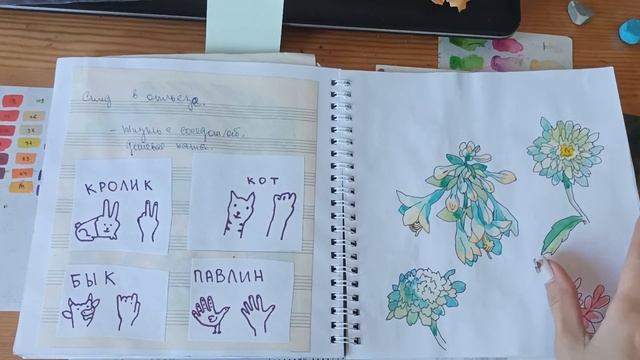 ОБЗОР СКЕТСБУКА смотреть онлайн