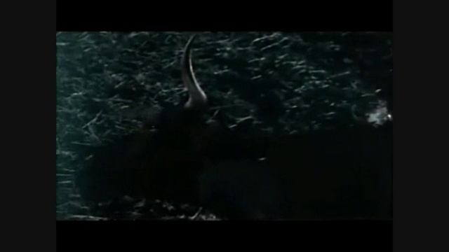 Lili Marlen Interterror.wmv смотреть онлайн