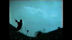 ОДУВАНЧИКИ