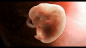 Как происходит зачатие ребенка