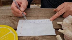 Посмотри перед посадкой чеснока