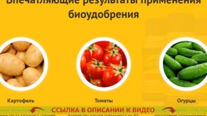 КАК РАЗВОДИТЬ РАУНДАП ДЛЯ БОРЬБЫ С СОРНЯКАМИ 👌 БИОПРЕПАРАТЫ ОТ СОРНЯКОВ АС 💡