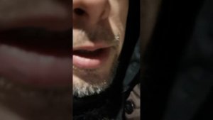 электрошокер против медведя)