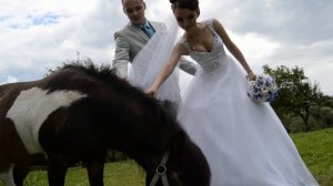 Евгений Коновалов - Свадебная