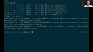 Введение в биоинформатику (5)