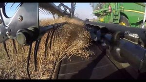 Уборка сои полотняной жаткой Macdon 974.