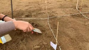 Археолог видео для детей