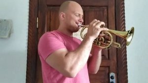 труба #трубач #музыка #путникивночи #trumpet