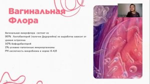 Женская анатомия