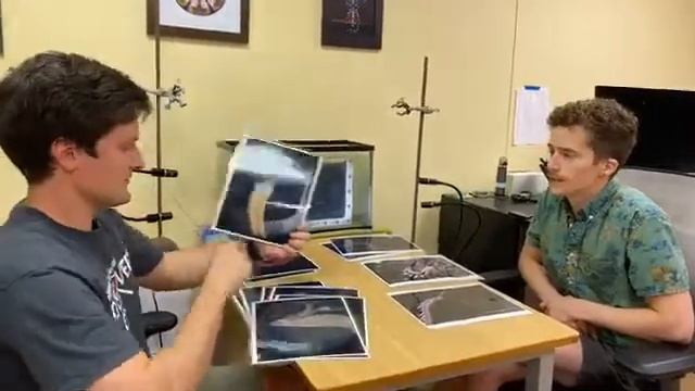 Ask the Scientist - Digging Deeper with Marine Worms смотреть онлайн