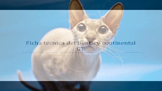 FICHA TECNICA DEL BENTLEY CONTINENTAL GT!!! смотреть онлайн