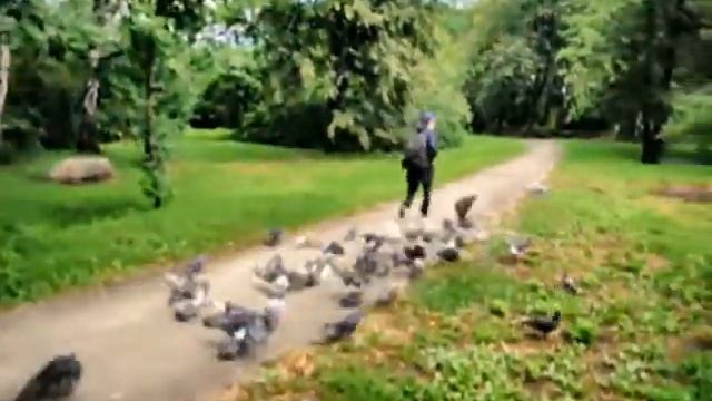 Мессия для пернатых смотреть онлайн