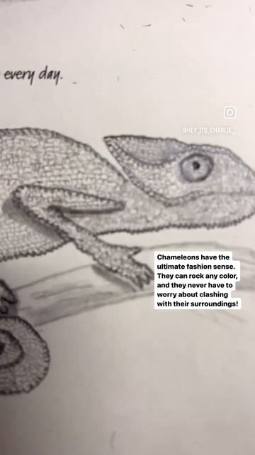 #chameleon #sketch #sketching #sketchbook #art смотреть онлайн
