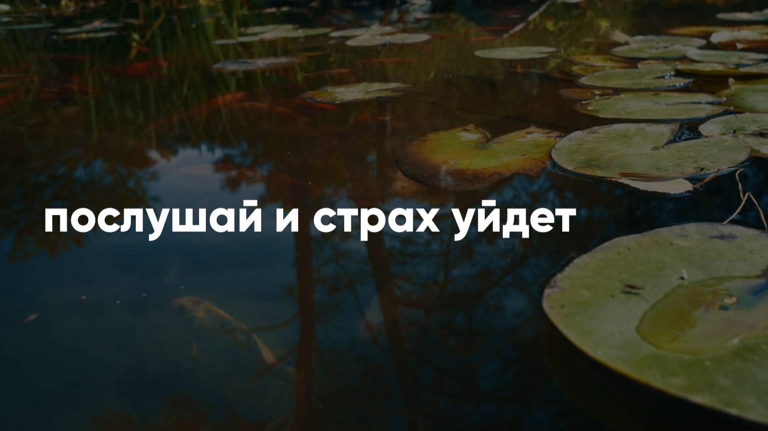 Эта медитация поможет тебе отпустить тревоги, обрести уверенность и доверие к жизни. Если ты пережив