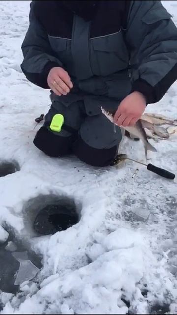 яузское водохранилище Рыбалка 03.01. 2021