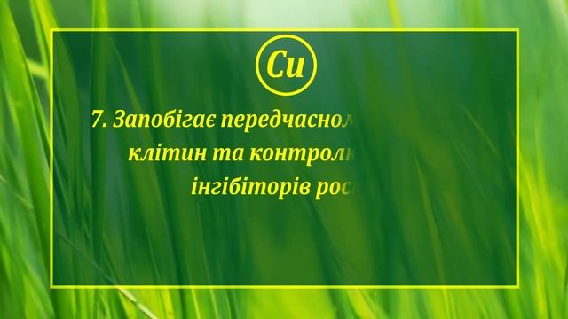 МІДЬ: 10 ФАКТІВ про елемент ЖИВЛЕННЯ