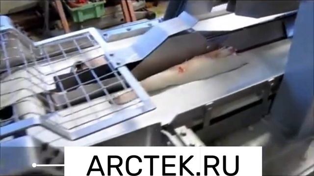 Baader 184 Филетировочная машина для разделки трески смотреть онлайн