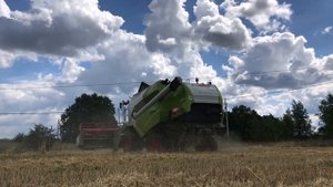 Уборка урожая