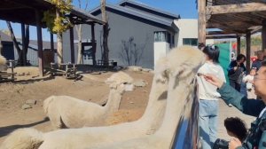 Mudanjiang. China (2часть)