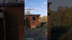 чебаркульские бойные голуби