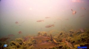 Закрытие жидкой воды