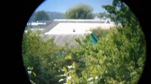 Тест Celestron Nature DX vs Celestron Outland X